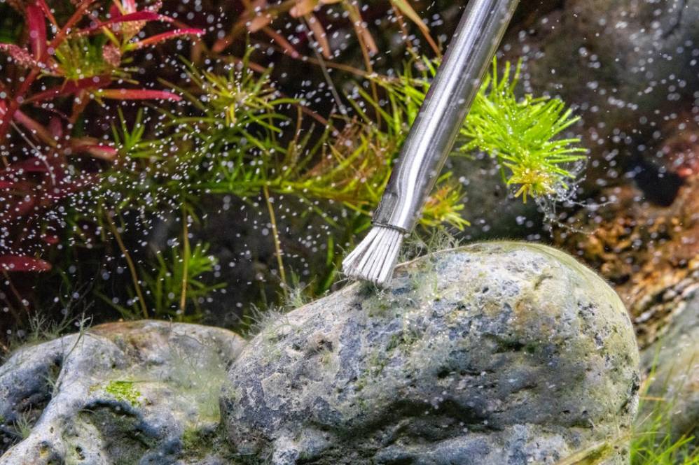 A close-up of a metal brush cleaning a rock in an aquarium, surrounded by bubbles and vibrant aquatic plants.