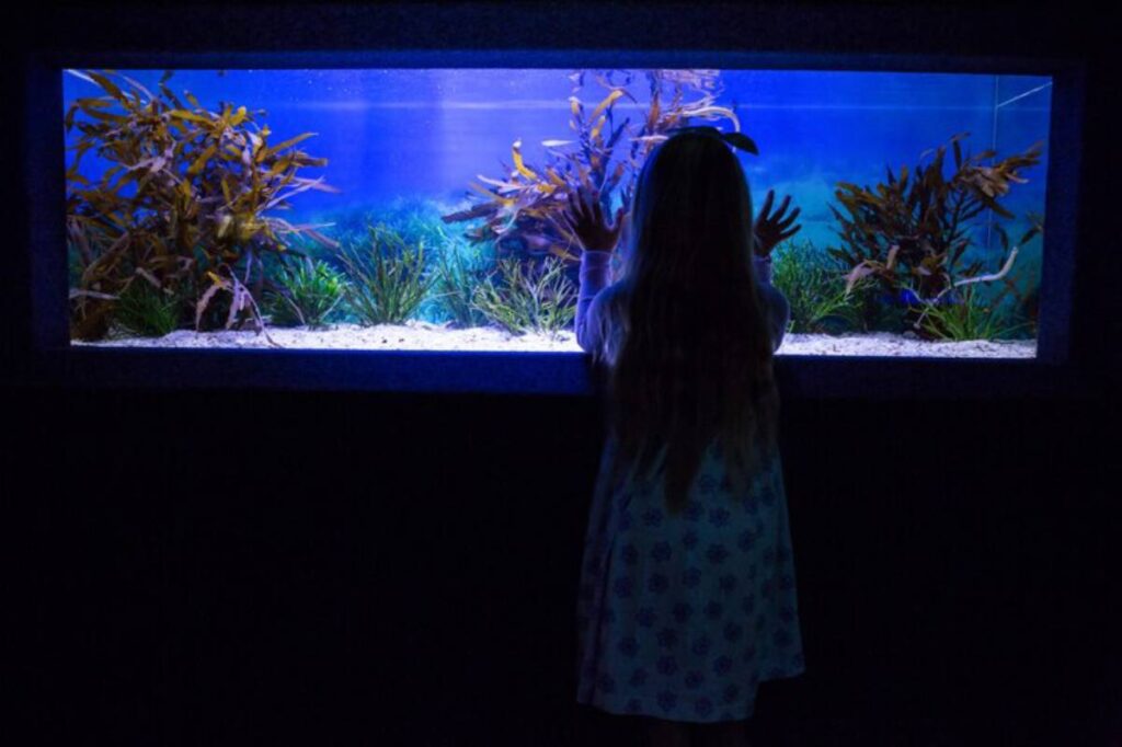 A child with long hair gazes at a vibrant aquarium filled with plants, surrounded by soft blue light.