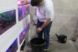 How to Perform a Safe Partial Water Change: Keep Your Tank Clean Without Stressing Your Fish