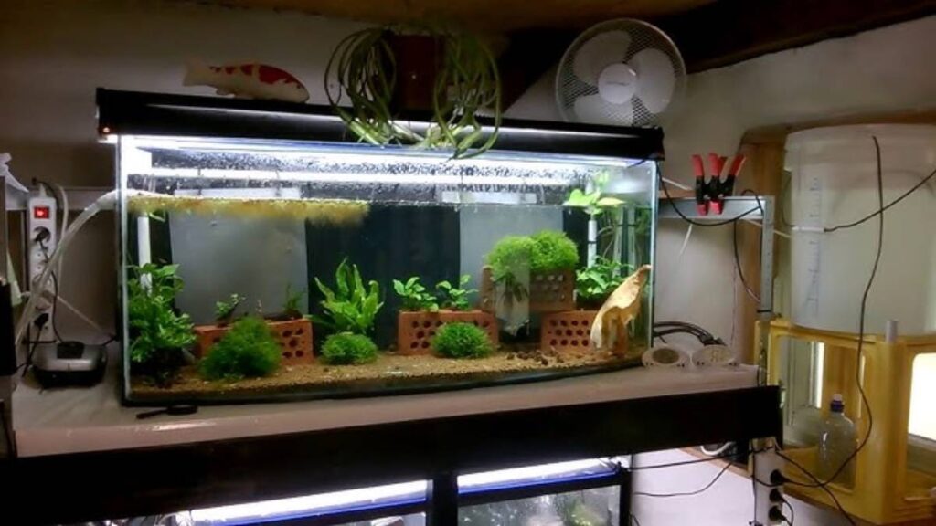 A brightly lit fish tank with lush aquatic plants, brick decorations, and a fish swimming, set against a homey backdrop.