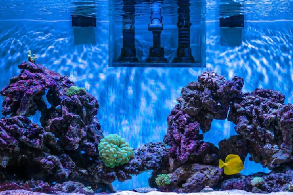 Vibrant aquarium scene featuring purple coral structures and a yellow fish swimming among the blue water and lush marine life.