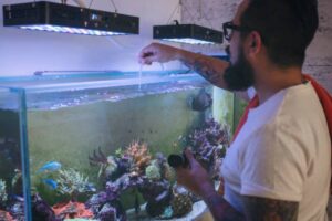 A person with a tattoo tends to a colorful aquarium filled with coral and fish, using a pipette under LED lights.