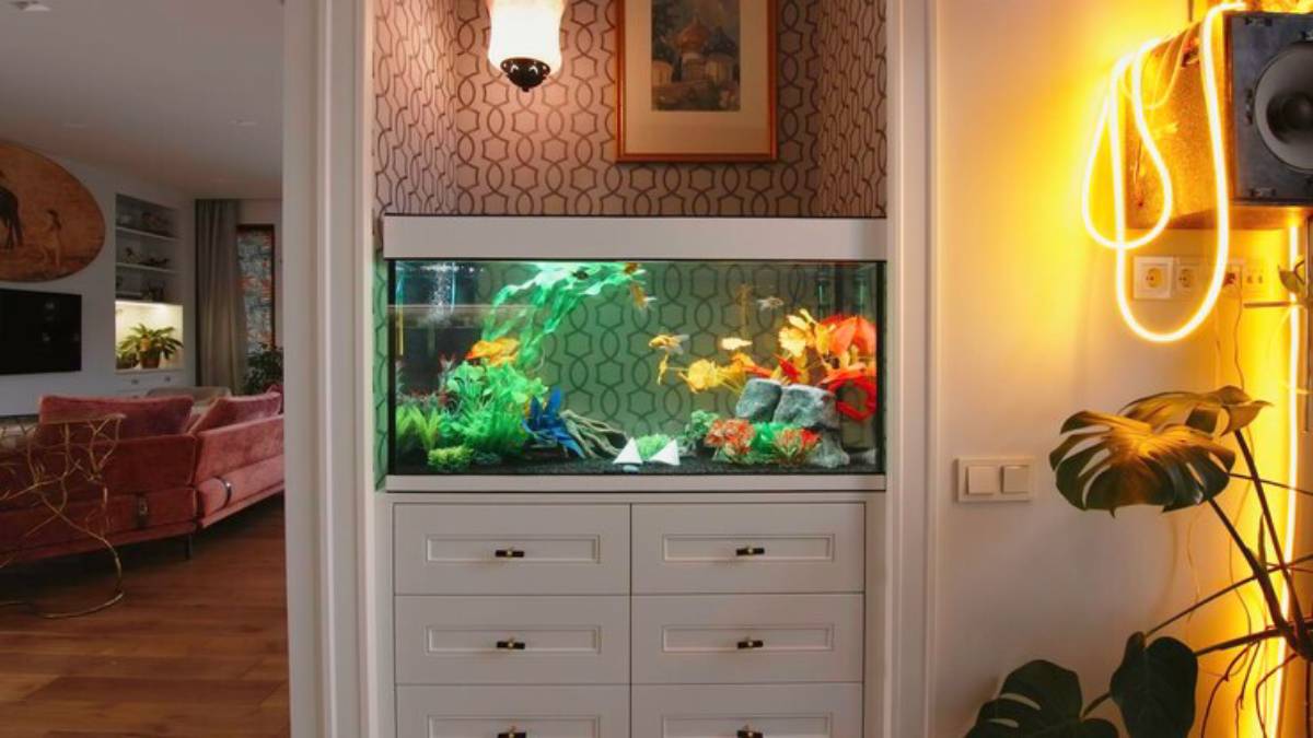 A vibrant aquarium filled with colorful fish and plants, nestled between a decorative lamp and speaker in a modern living space.