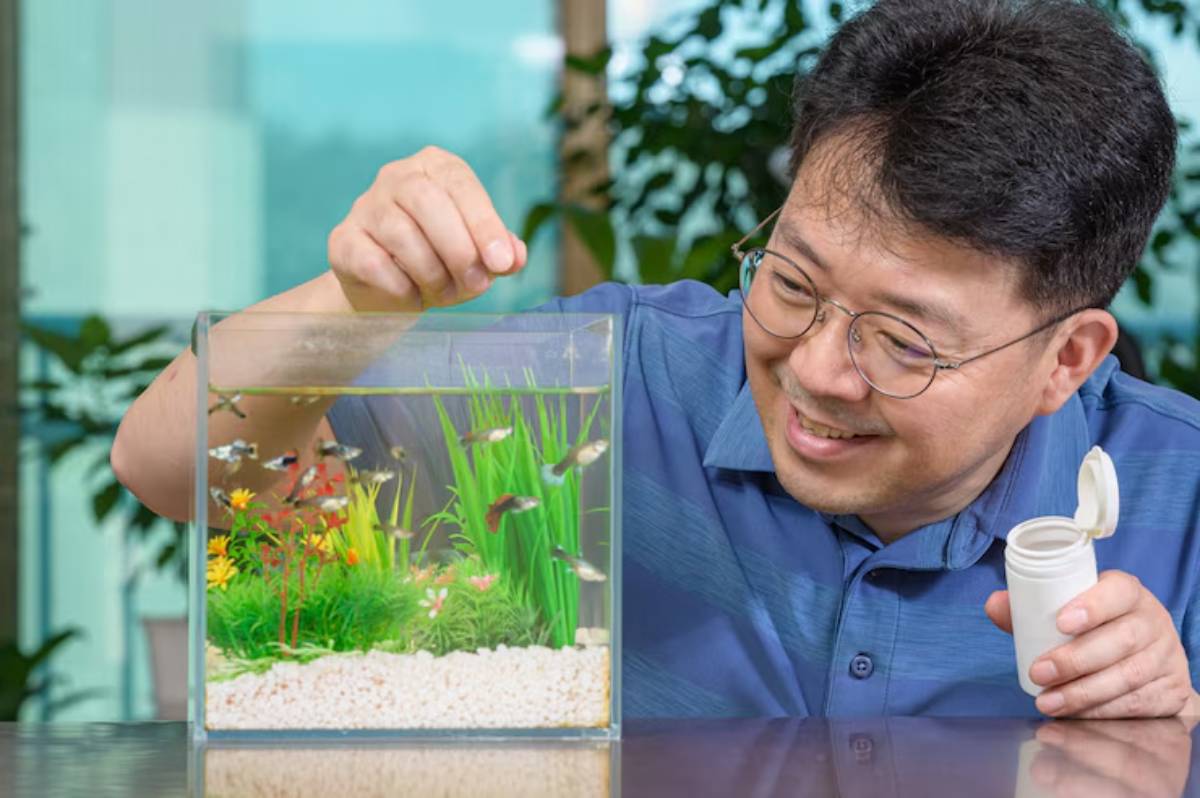 A person interacts with a colorful aquarium filled with fish, surrounded by vibrant plants and decorative stones on a table.