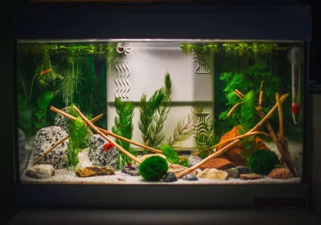 A lush aquarium filled with green plants, rocks, and driftwood, showcasing a serene underwater ecosystem with a filter in the background.