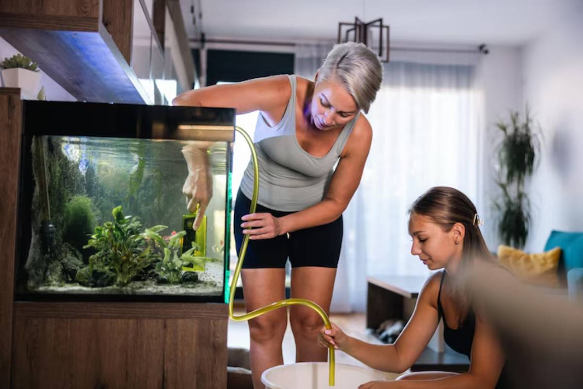 Two individuals are interacting with a fish tank, using a siphon to manage water while surrounded by a bright, modern living space.