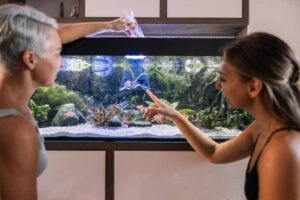 Two people are interacting with a vibrant aquarium, one holding a bag, while the other points at the fish inside the tank.