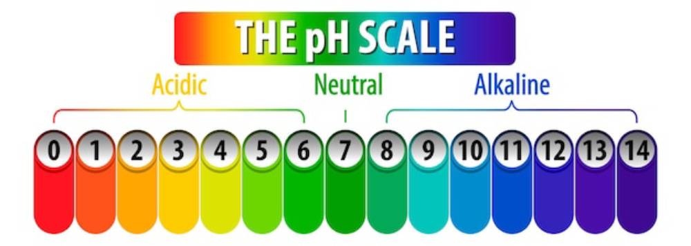 Colorful pH scale ranging from 0 (acidic, red) to 14 (alkaline, purple), with 7 representing neutral, highlighted at the center.