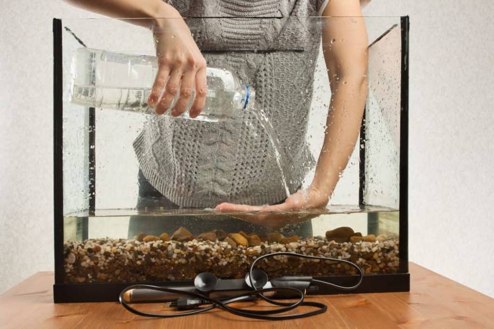 A person pours water from a bottle into an aquarium filled with pebbles, while their hand is submerged in the water.