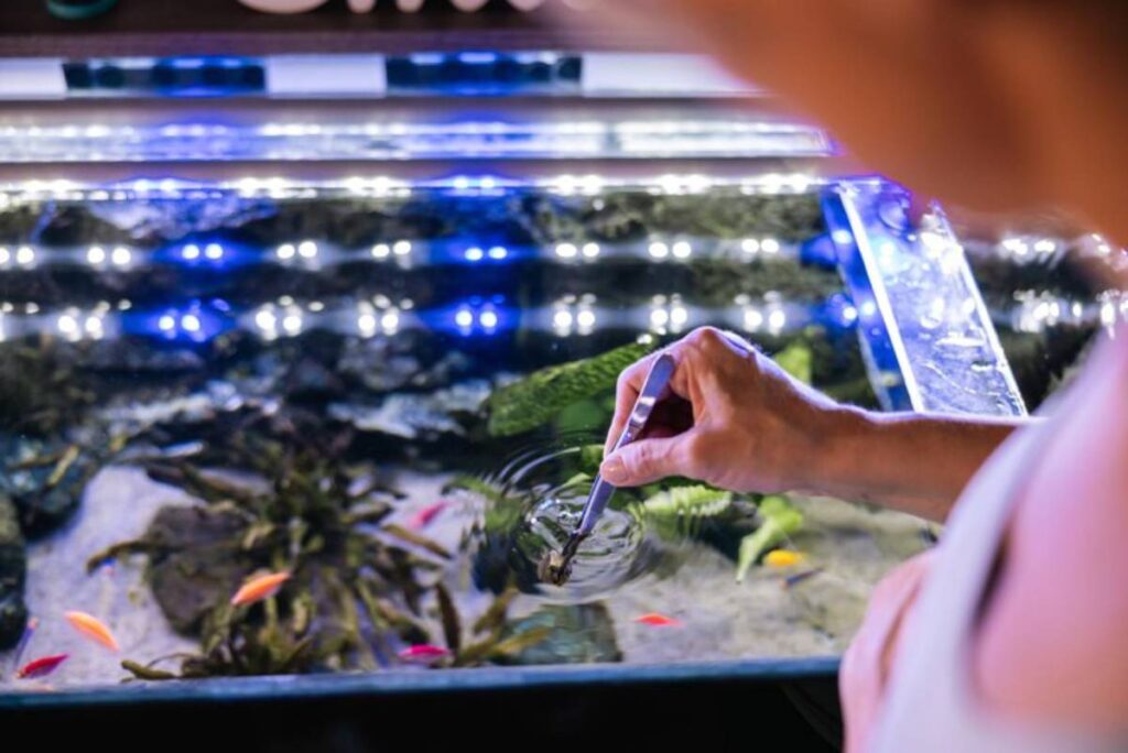A person gently stirs the water in an illuminated fish tank filled with colorful fish and aquatic plants.