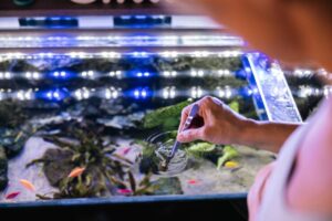 A person gently stirs the water in an illuminated fish tank filled with colorful fish and aquatic plants.